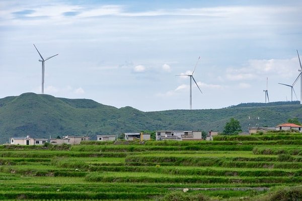 Pourquoi le développement durable est-il important pour les entreprises ?
